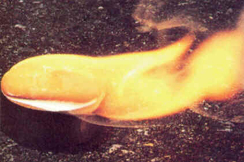 Termoquímica Termoquímica