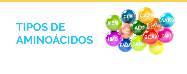 Tipos de Aminoácidos