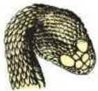 venenosa-1