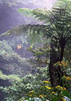 Costa Rica Costa Rica