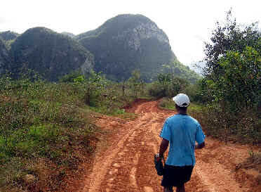 Viñales