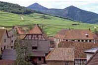 Alsácia