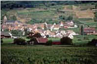 Alsácia