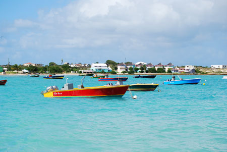 Anguilla Anguilla