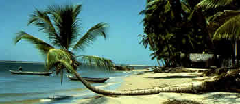 Aracaju Aracaju