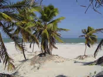 Aracaju Aracaju