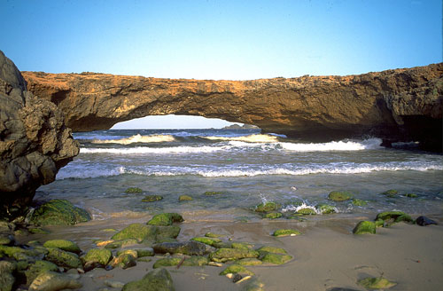 Aruba