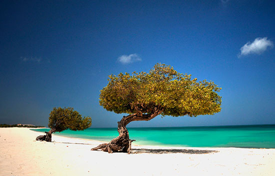 Aruba