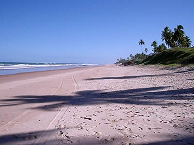 Bahia Bahia