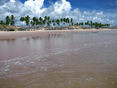 Bahia Bahia