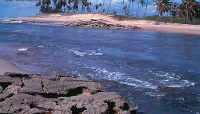 Bahia Bahia