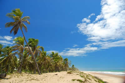 Bahia Bahia