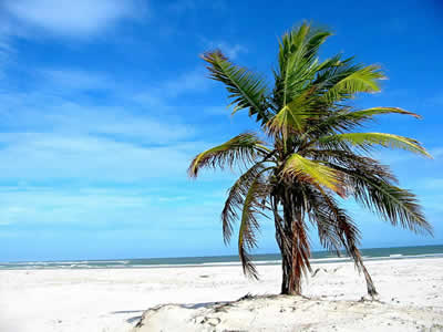 Bahia Bahia