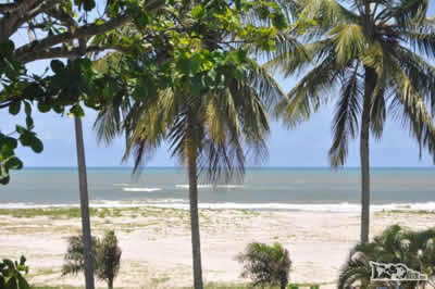 Bahia Bahia