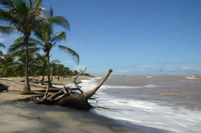 Bahia Bahia