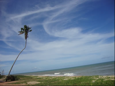 Bahia Bahia