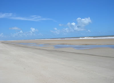 Bahia Bahia