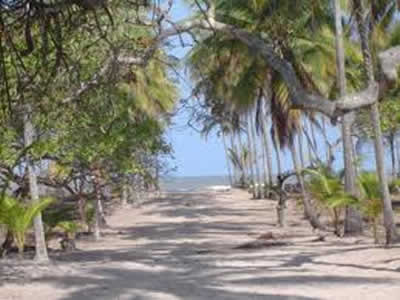 Bahia Bahia
