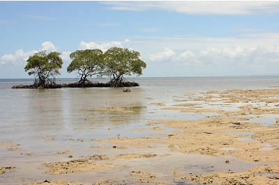 Bahia Bahia
