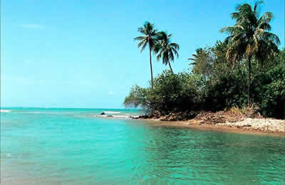 Bahia Bahia