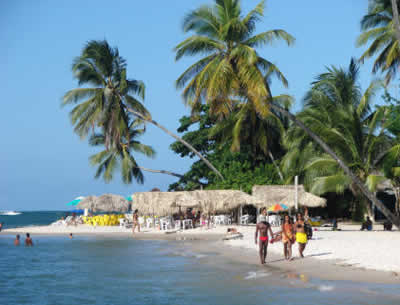 Bahia Bahia