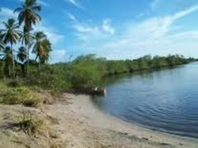 Bahia Bahia
