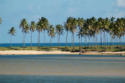Bahia Bahia