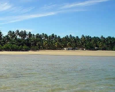 Bahia Bahia