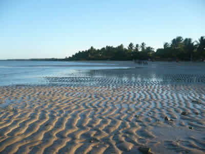 Bahia Bahia