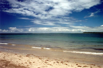 Bahia Bahia
