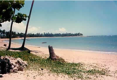 Bahia Bahia