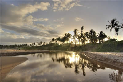 Bahia Bahia