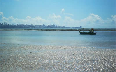 Bahia Bahia