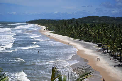 Bahia Bahia
