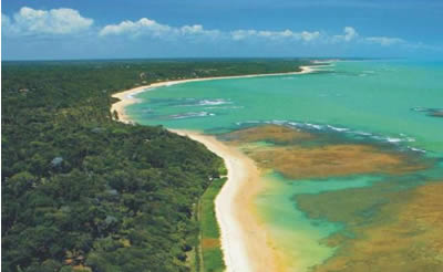 Bahia Bahia