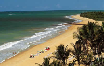 Bahia Bahia