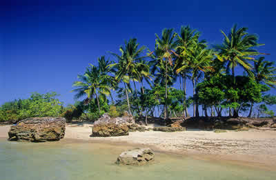 Bahia Bahia