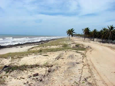 Bahia Bahia