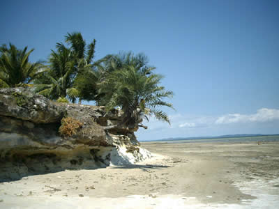 Bahia Bahia