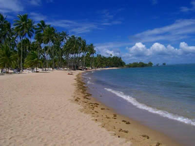 Bahia Bahia