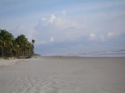 Bahia Bahia