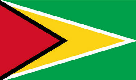 Bandeira da Guiana