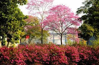 Blumenau