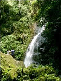Blumenau