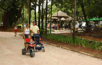 Campinas