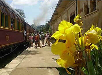 Campinas