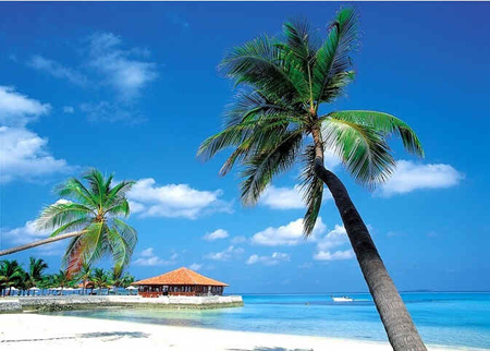 Caribe