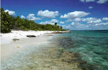 Caribe