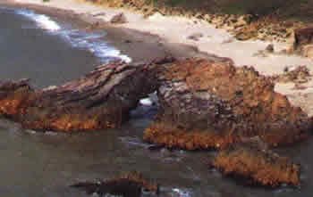 Ceará Ceará