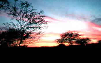 Ceará Ceará